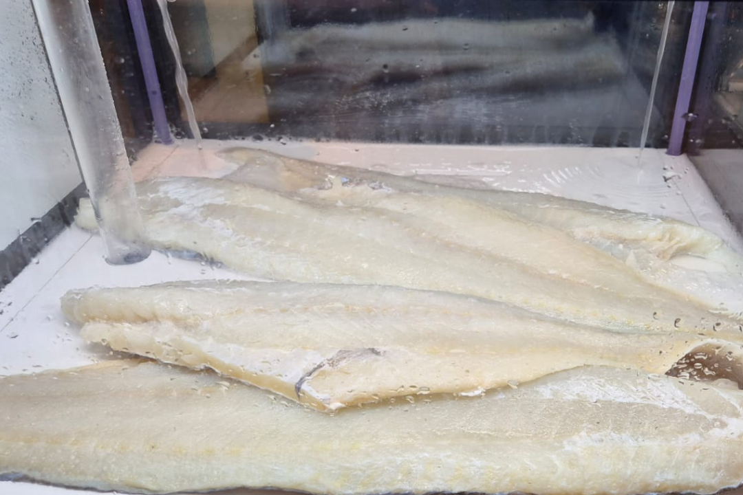 Banco del pesce Bakkalà